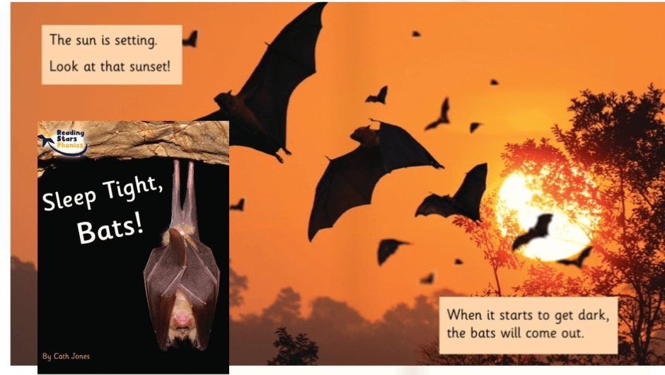 non-fiction book about bats for kids
